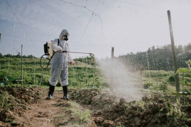 Best Ant Control Services  in Black River Falls, WI