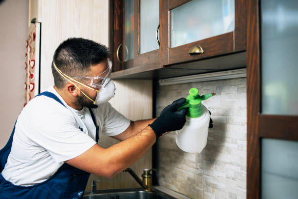 Best Emergency Pest Control  in Black River Falls, WI