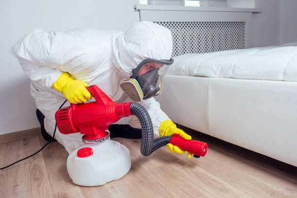 Best Mosquito Control Services  in Black River Falls, WI