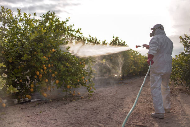 Best Pest Prevention Services  in Black River Falls, WI
