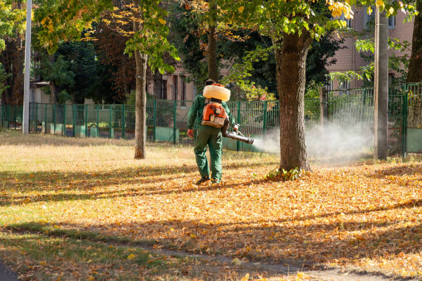 Best Residential Pest Control  in Black River Falls, WI
