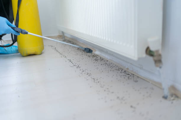 Best Rodent Control Near Me  in Black River Falls, WI