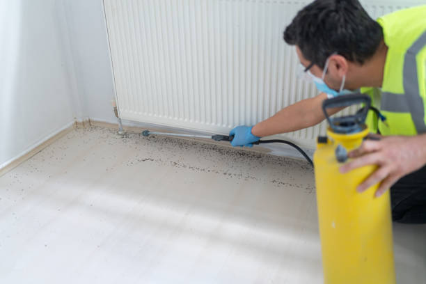 Best Bed Bug Extermination  in Black River Falls, WI