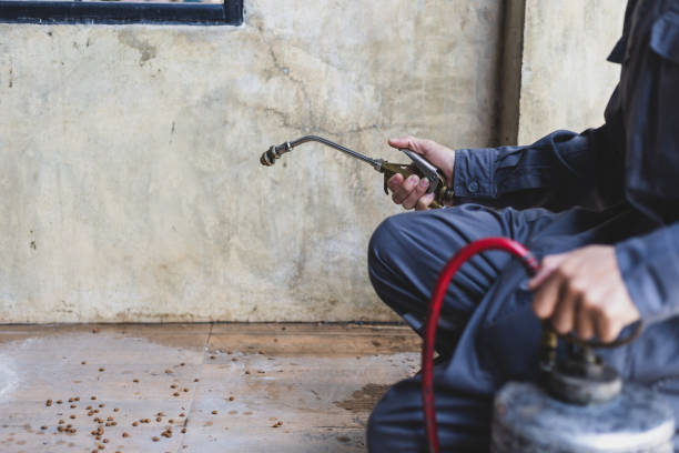 Best Local Pest Control Services  in Black River Falls, WI